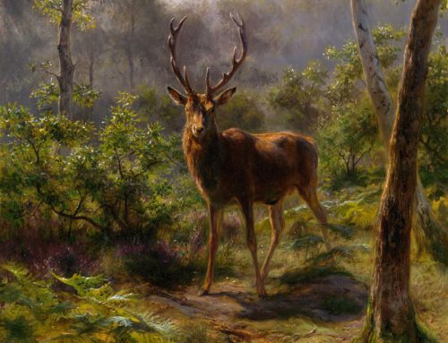A Stag at the National Gallery of Ireland