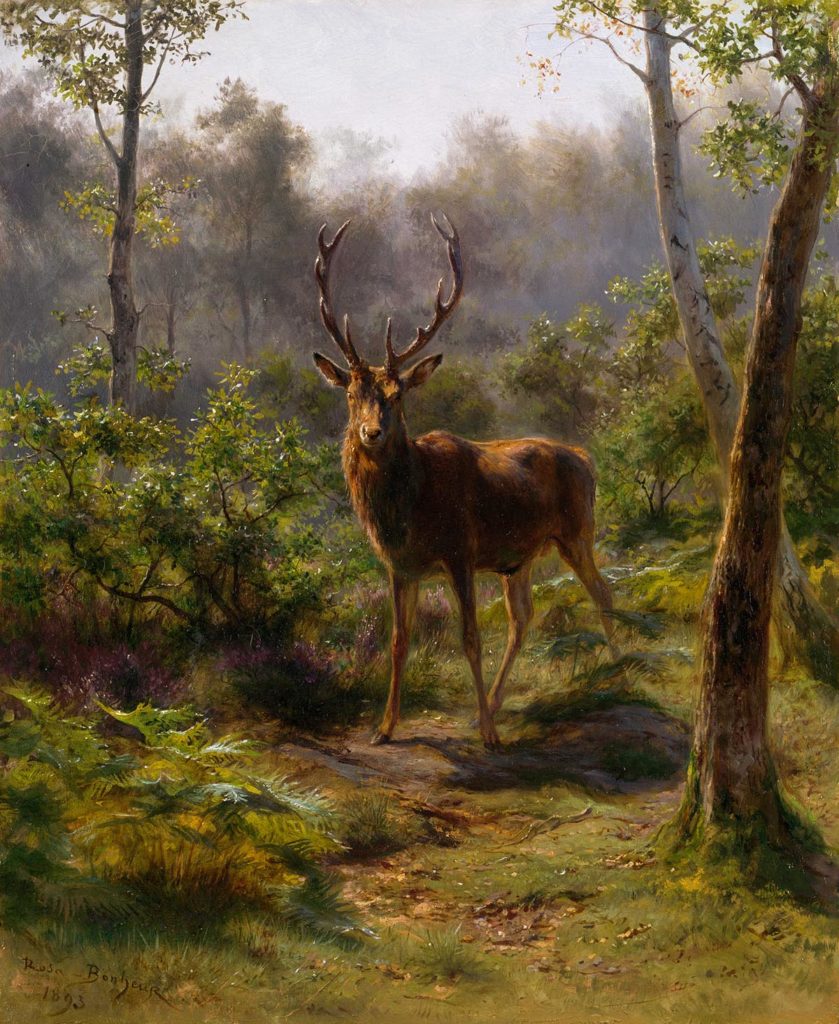 Majestic stag standing in a lush forest clearing surrounded by trees and vibrant greenery.