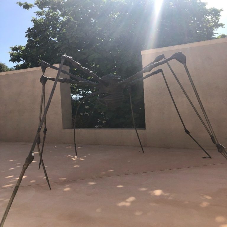 Large spider sculpture casting shadows in the sunlight, set against a backdrop of trees and a plain concrete wall.